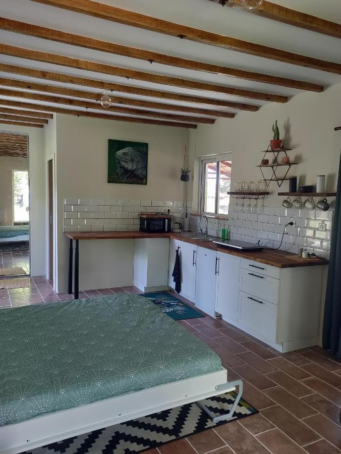 דירות אוש Chez Chapelle In The Heart Of The Gascony With Pool And Hot Tub מראה חיצוני תמונה