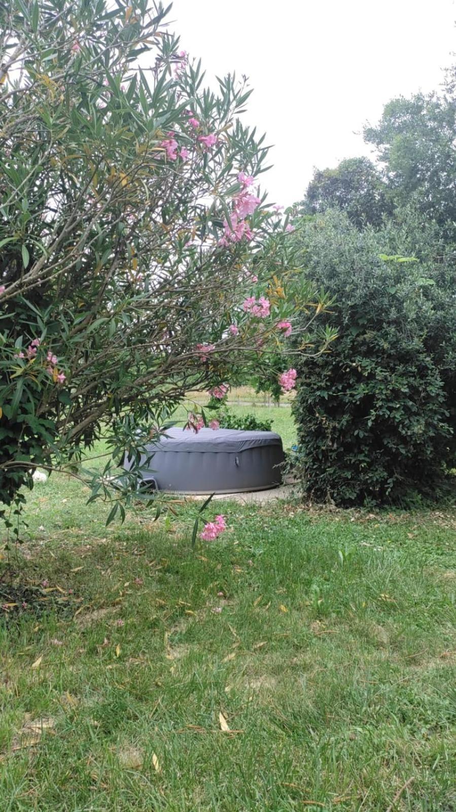 דירות אוש Chez Chapelle In The Heart Of The Gascony With Pool And Hot Tub מראה חיצוני תמונה